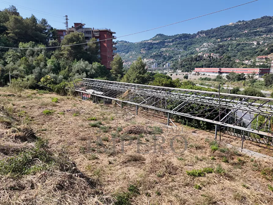 Immagine 18 di Terreno agricolo in vendita  in Corso Limone Piemonte a Ventimiglia