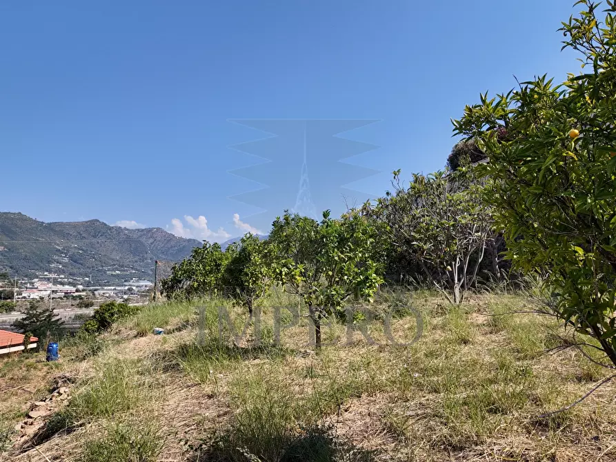 Immagine 14 di Terreno agricolo in vendita  in Corso Limone Piemonte a Ventimiglia