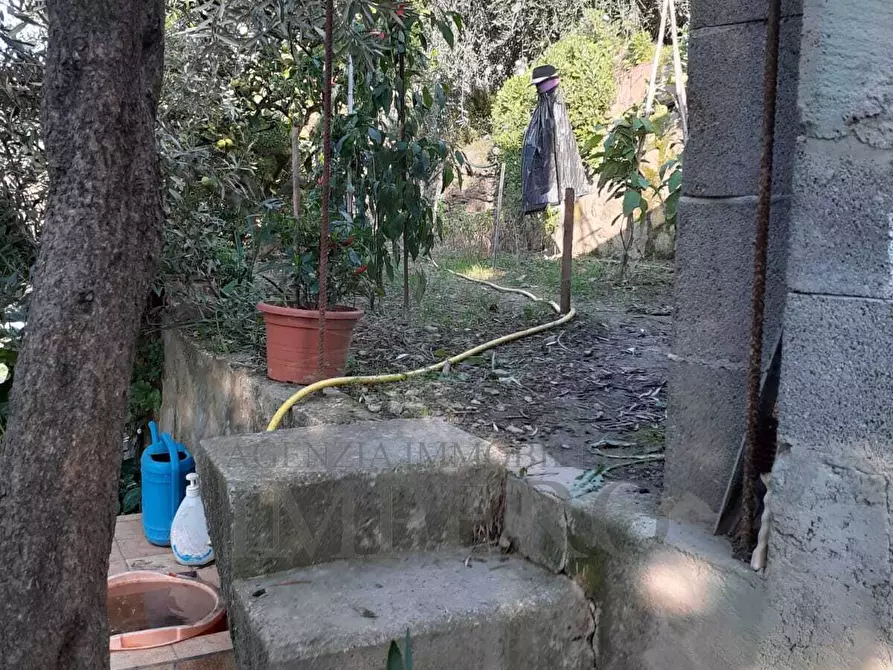 Immagine 23 di Terreno agricolo in vendita  in via provinciale 44 a San Biagio Della Cima