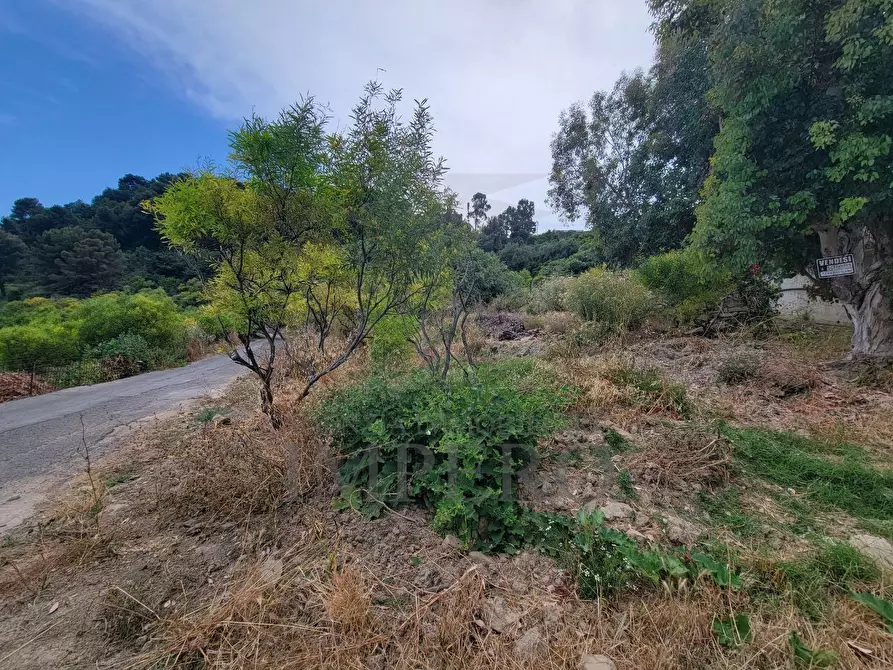 Immagine 18 di Terreno agricolo in vendita  in Via delle Otto Case 1 a Ventimiglia