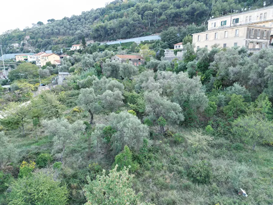 Immagine 9 di Casa indipendente in vendita  in Via Gallardi 22 a Ventimiglia