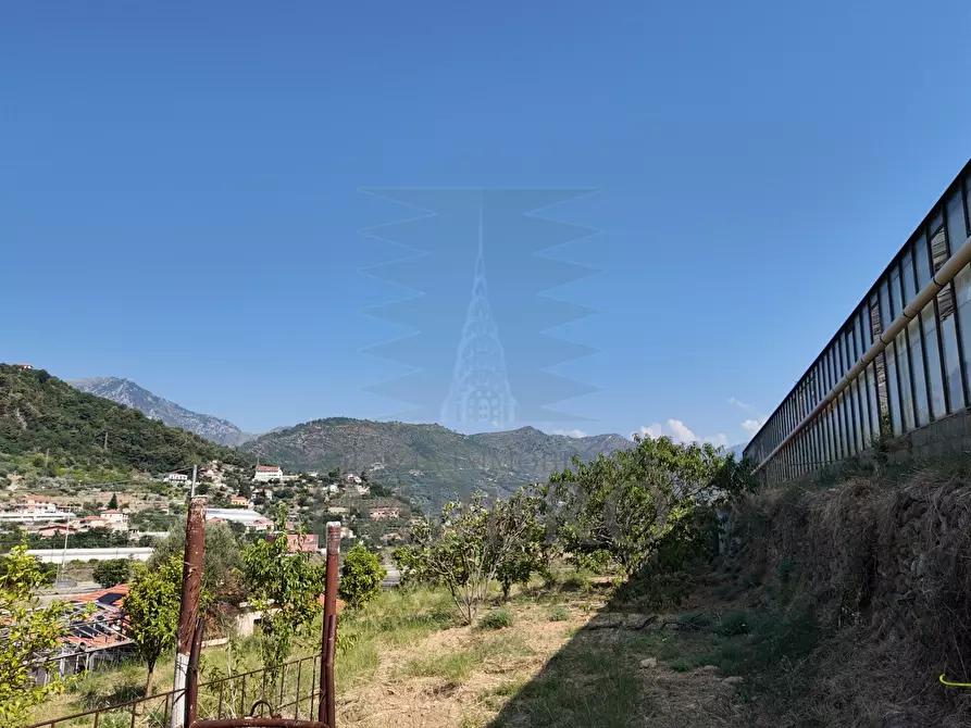 Immagine 5 di Terreno agricolo in vendita  in Corso Limone Piemonte a Ventimiglia