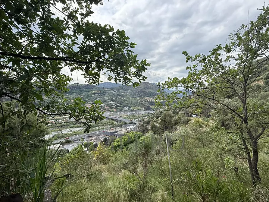 Immagine 5 di Terreno agricolo in vendita  in Via Monsignor Nicolò Peitavino a Ventimiglia