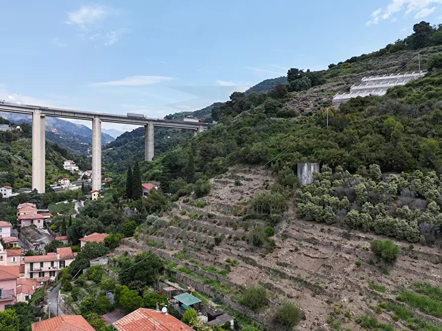 Immagine 16 di Terreno agricolo in vendita  in Via Anacleto Hughes 22/A a Ventimiglia