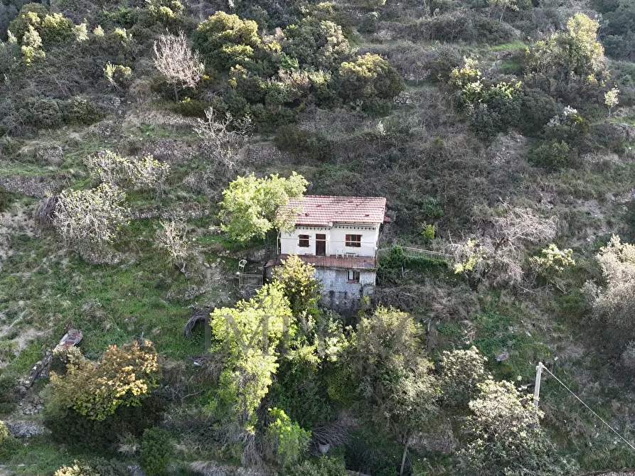 Immagine 5 di Casa indipendente in vendita  in Via Domenico Tempesta 30A a Ventimiglia