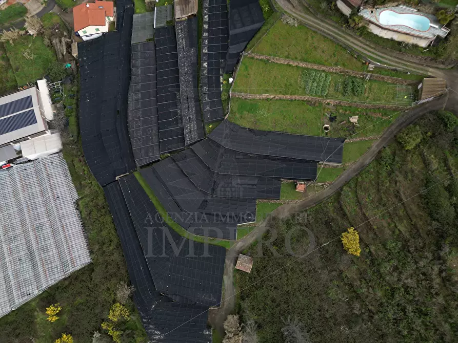 Immagine 6 di Terreno agricolo in vendita  in SP59 39 a Vallecrosia