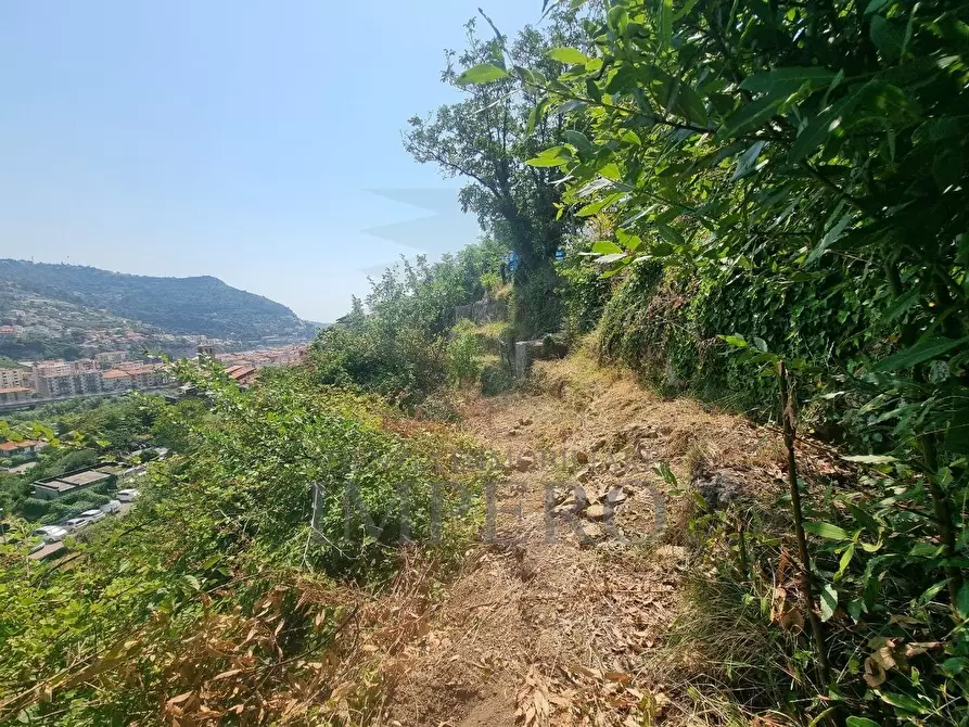 Immagine 2 di Terreno agricolo in vendita  in Via Daffra 20 a Ventimiglia