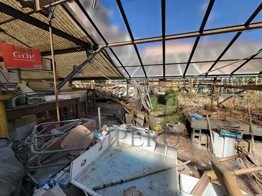 Immagine 11 di Magazzino in vendita  in Strada Statale 1 35 a Camporosso