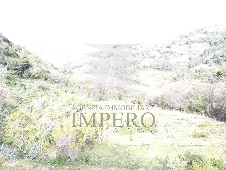 Immagine 9 di Terreno agricolo in vendita  in Regione Magauda 36 a Camporosso