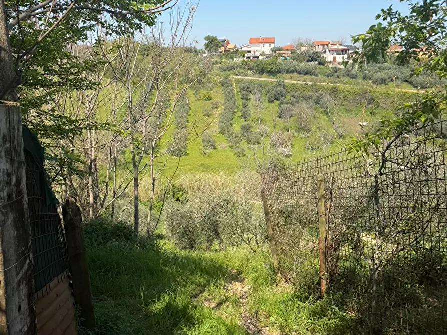 Immagine 68 di Casa indipendente in vendita  in VIALE MAIELLA a Chieti