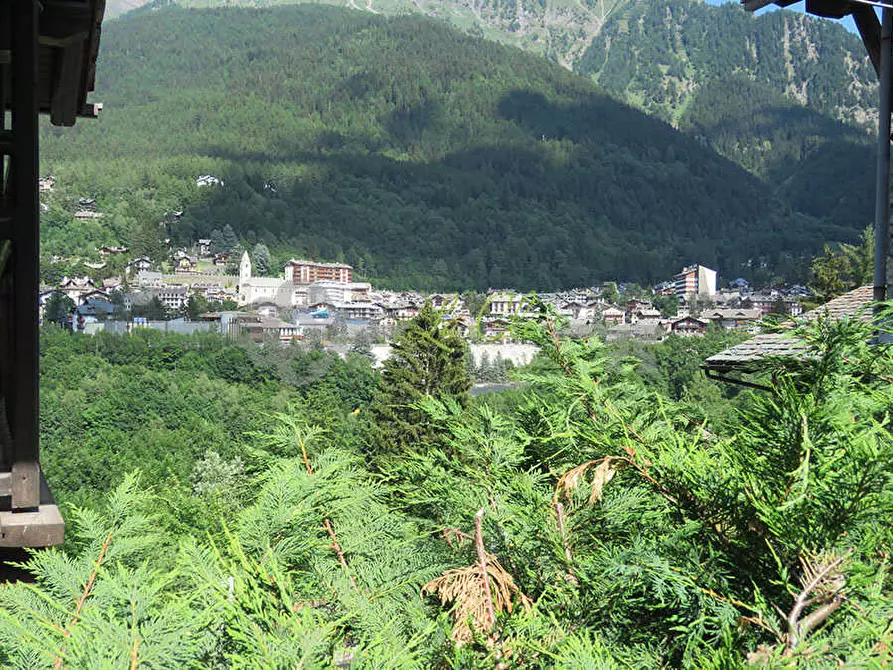 Immagine 19 di Quadrilocale in affitto  a Courmayeur