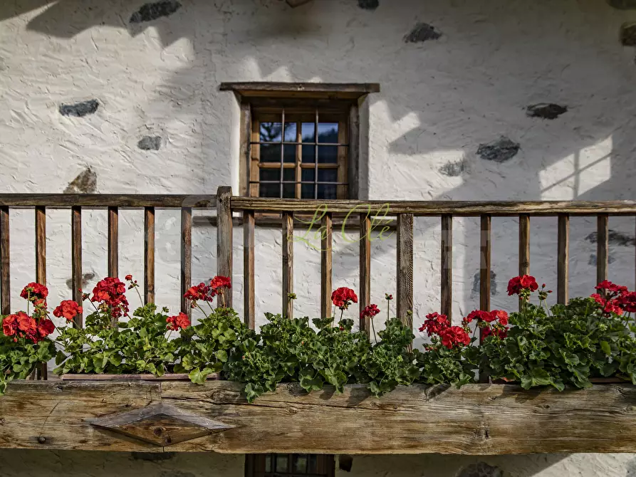 Immagine 21 di Baita in affitto  in Località Peuterey 15 a Courmayeur