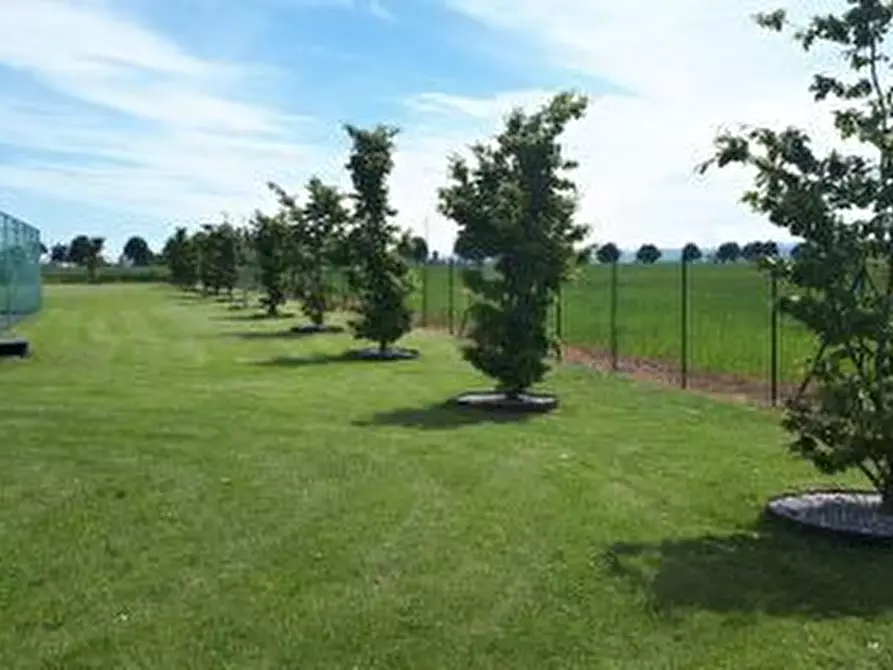 Immagine 7 di Rustico / casale in vendita  in Strada Langhirano 177 a Parma