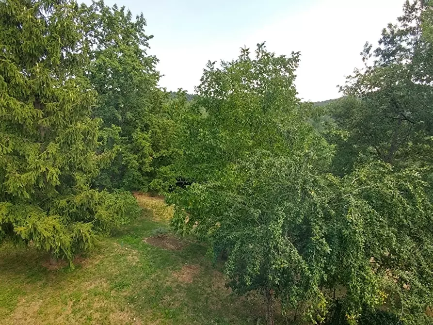 Immagine 8 di Bilocale in vendita  in Via Nicolai 1905 a Guiglia
