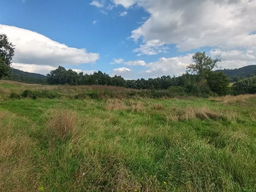 Immagine 39 di Rustico / casale in vendita  in via Selve 3205 a Zocca