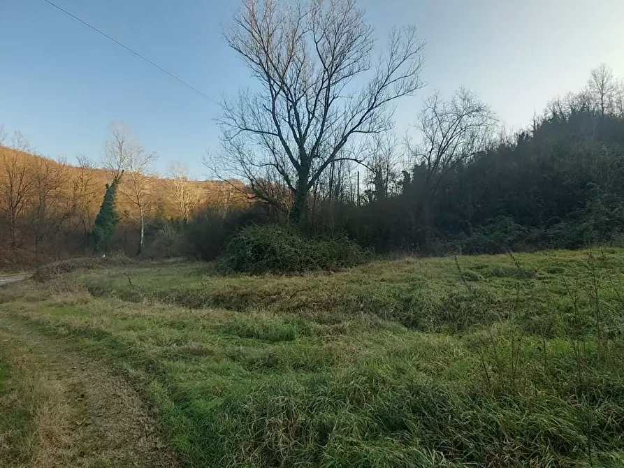 Immagine 10 di Rustico / casale in vendita  in Via Claudia 4035 a Savignano Sul Panaro