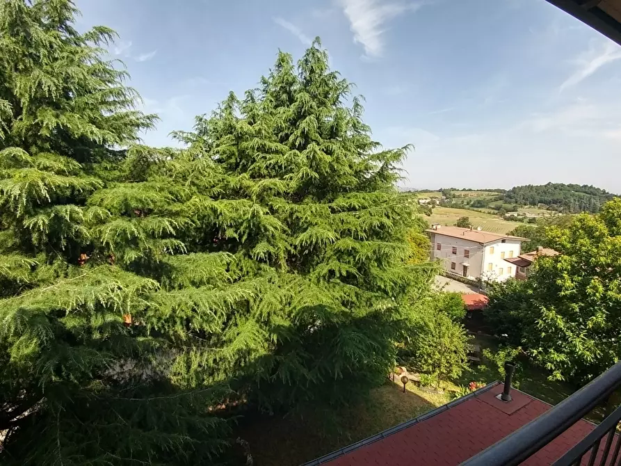 Immagine 10 di Quadrilocale in vendita  in Via Bosco degli Estensi 654 a Zocca