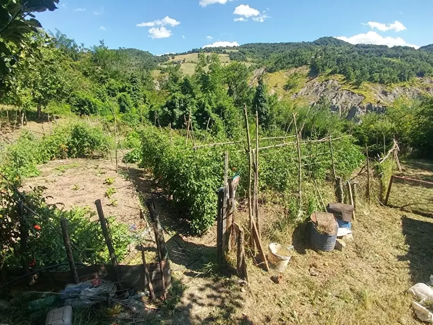 Immagine 16 di Rustico / casale in vendita  in mauro tesi 112 a Zocca