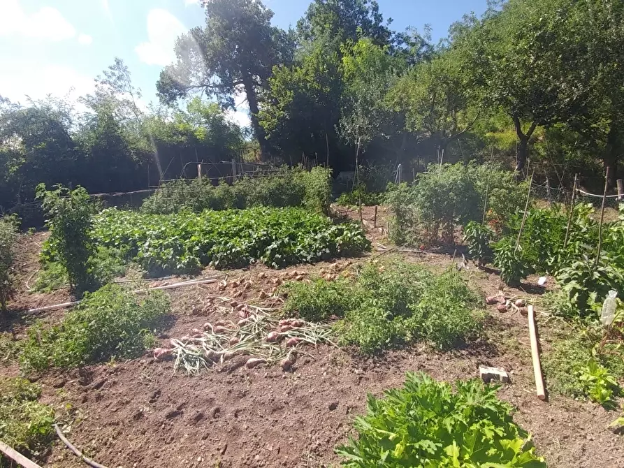 Immagine 53 di Rustico / casale in vendita  in mauro tesi 112 a Zocca