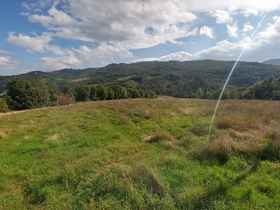 Immagine 40 di Rustico / casale in vendita  in via Selve 3205 a Zocca