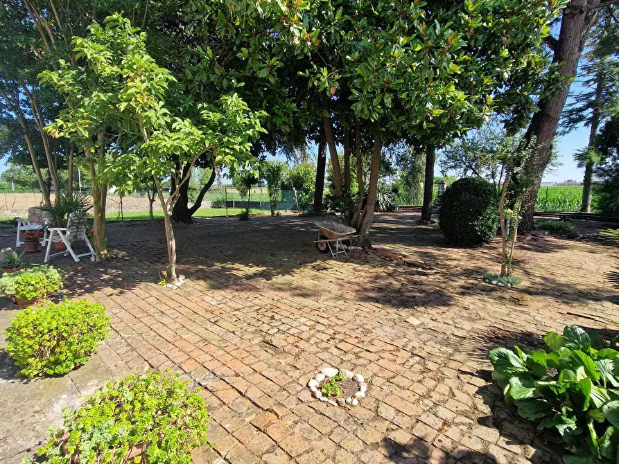 Immagine 11 di Rustico / casale in vendita  a Ceregnano