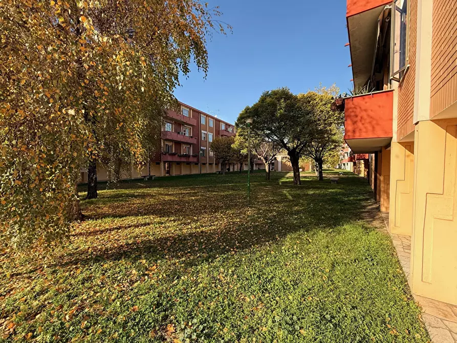 Immagine 3 di Quadrilocale in vendita  a Rovigo