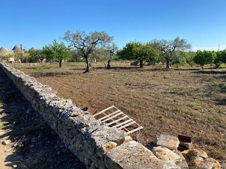 Immagine 6 di Terreno agricolo in vendita  in Via Vicinale Oronzino 5296 a Gioia Del Colle