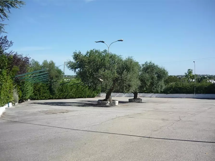 Immagine 6 di Bar / Ristorante in vendita  in C.da Casalini a Locorotondo