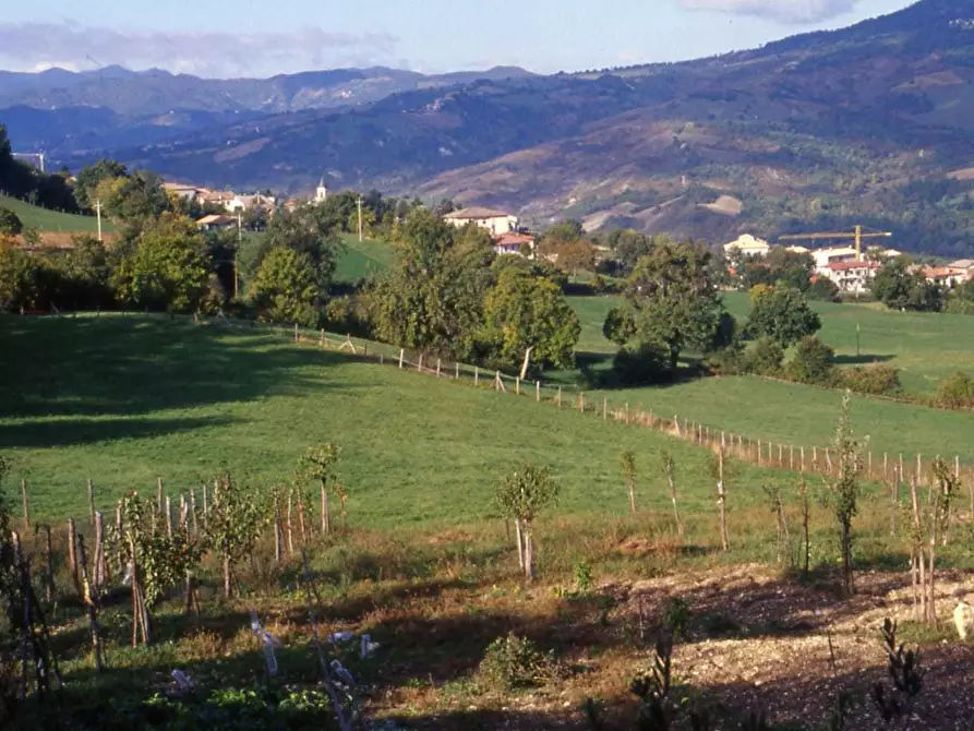 Immagine 8 di Terratetto in vendita  in Via Serra di Sotto 52 a Pennabilli