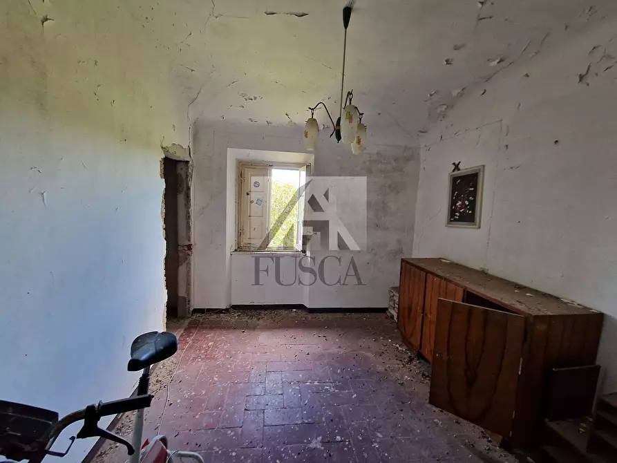 Immagine 20 di Rustico / casale in vendita  in Traversa V Via della Pieve Santo Stefano a Lucca