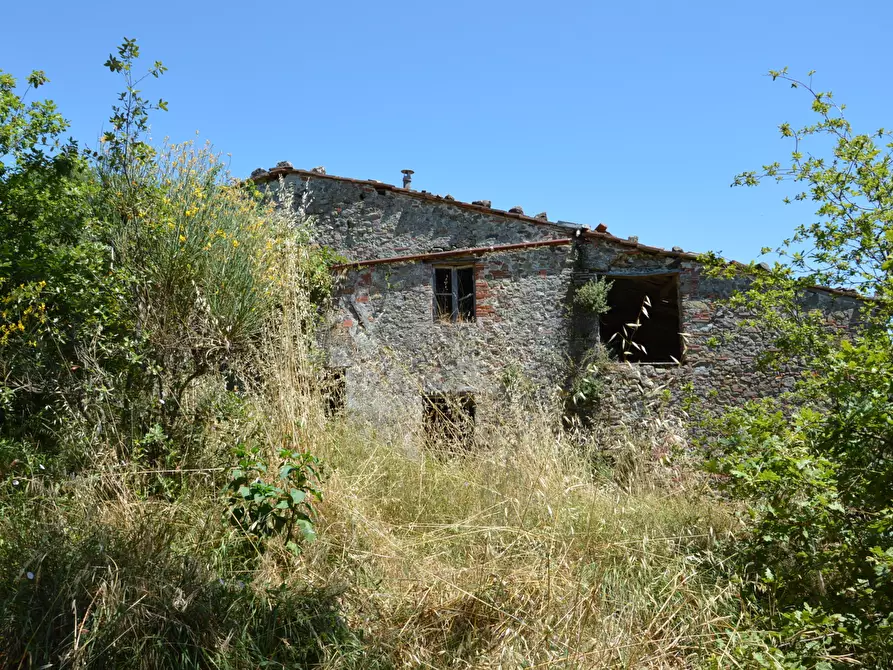 Immagine 5 di Rustico / casale in vendita  in Traversa V Via della Pieve Santo Stefano a Lucca