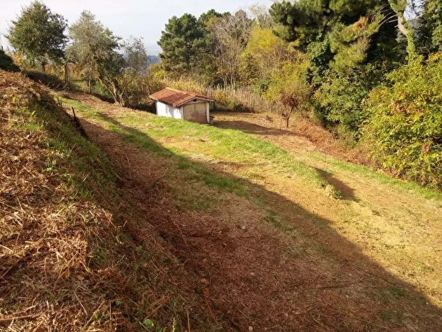 Immagine 10 di Terreno agricolo in vendita  in via di caroggia a Lucca