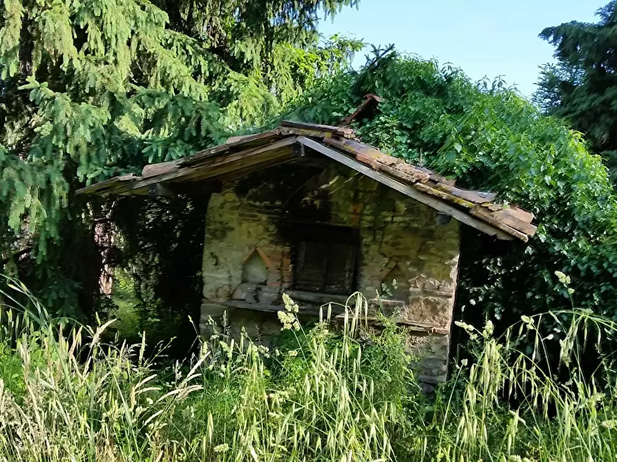 Immagine 29 di Rustico / casale in vendita  in bocconi a Lucca
