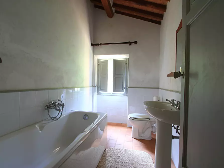 Immagine 4 di Rustico / casale in vendita  in Via di Arliano a Lucca