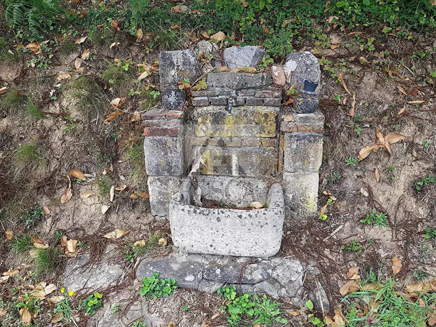 Immagine 38 di Rustico / casale in vendita  in di ronchi a Capannori