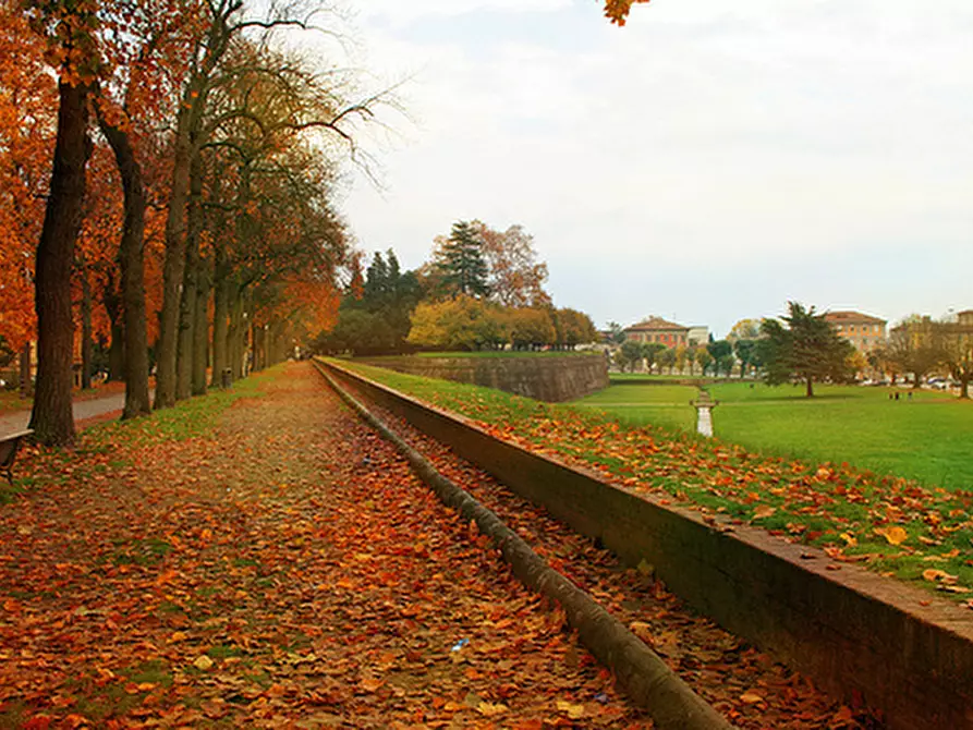 Immagine 4 di Bed & Breakfast in vendita  in Via Degli Angeli a Lucca