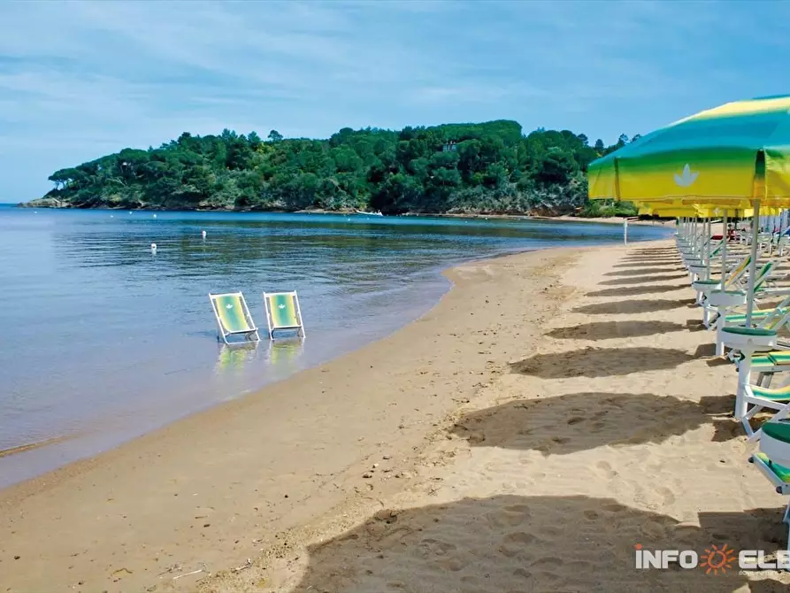 Immagine 7 di Attività commerciale in vendita  in Viale Regina Margherita a Viareggio