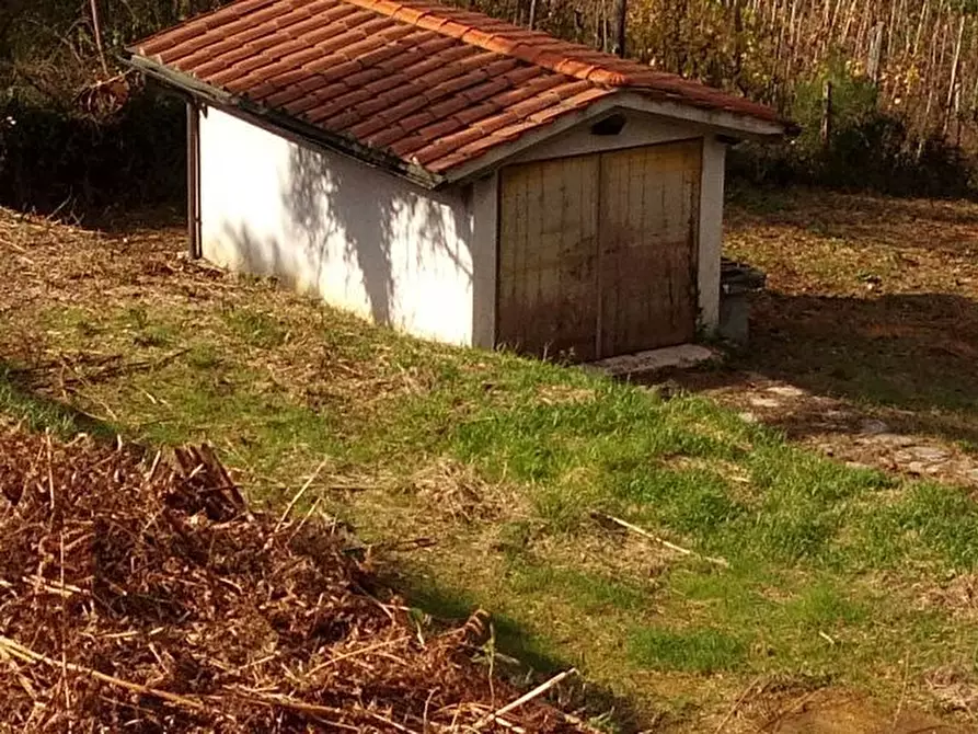 Immagine 2 di Terreno agricolo in vendita  in via di caroggia a Lucca
