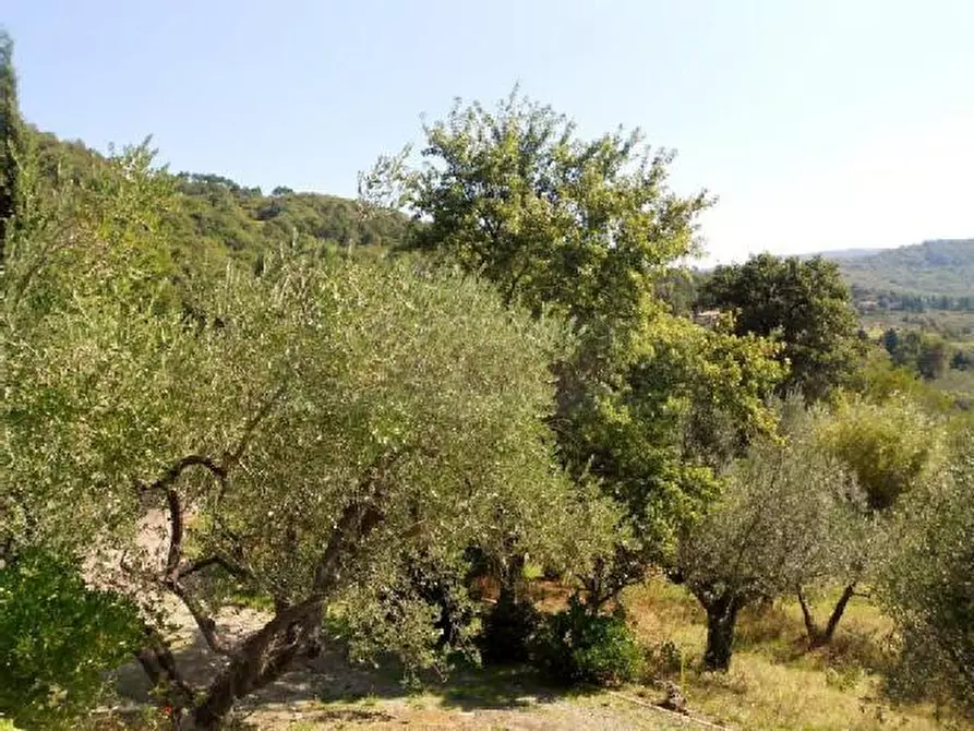Immagine 6 di Terreno industriale in vendita  in via bientina a Altopascio