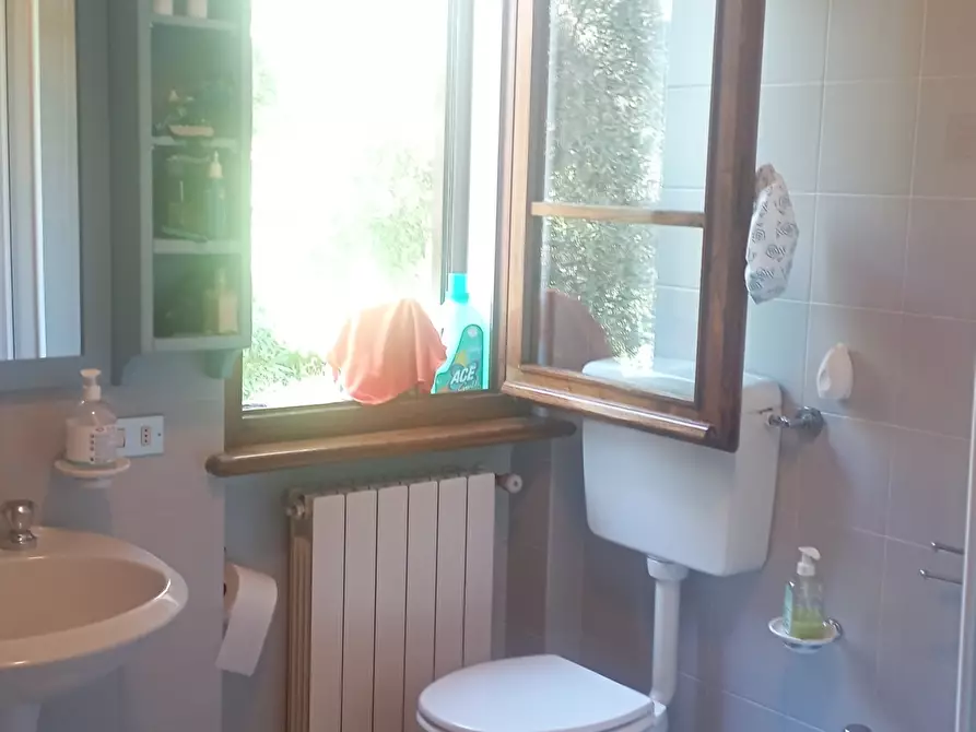 Immagine 5 di Villa in vendita  a Massarosa