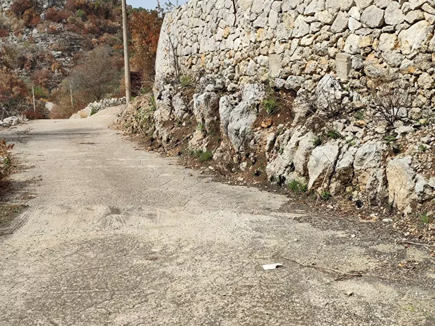 Immagine 4 di Terreno agricolo in vendita  a Melilli