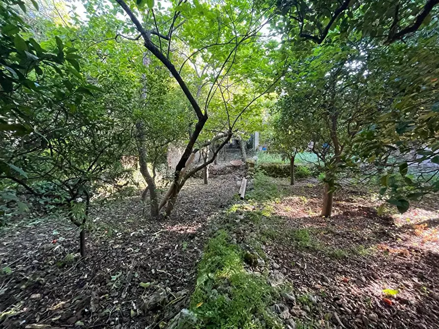 Immagine 32 di Villa in vendita  a Canicattini Bagni