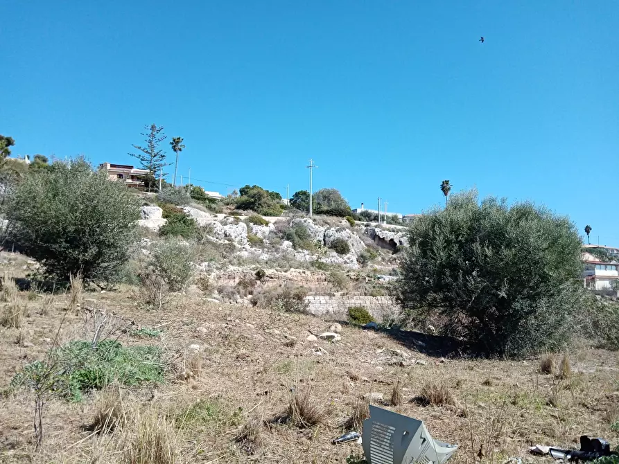 Immagine 5 di Terreno agricolo in vendita  a Siracusa