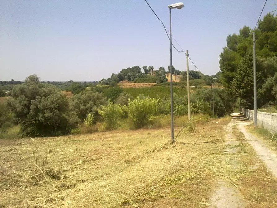 Immagine 4 di Terreno agricolo in vendita  a Siracusa