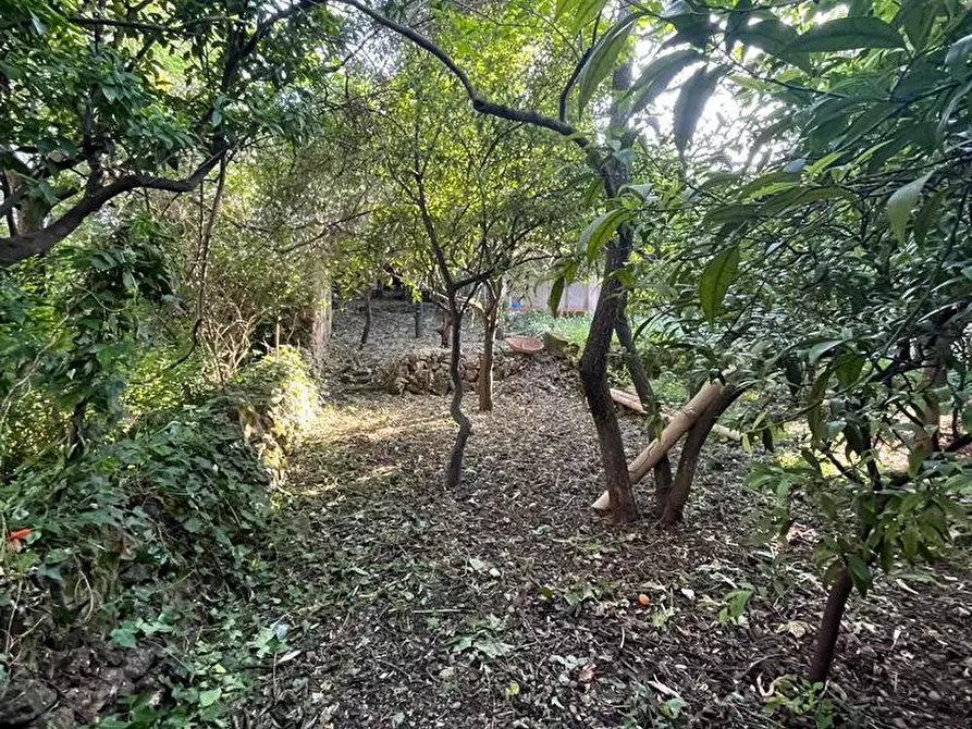 Immagine 54 di Villa in vendita  a Canicattini Bagni