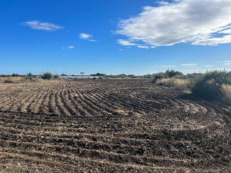 Immagine 9 di Terreno agricolo in vendita  a Siracusa