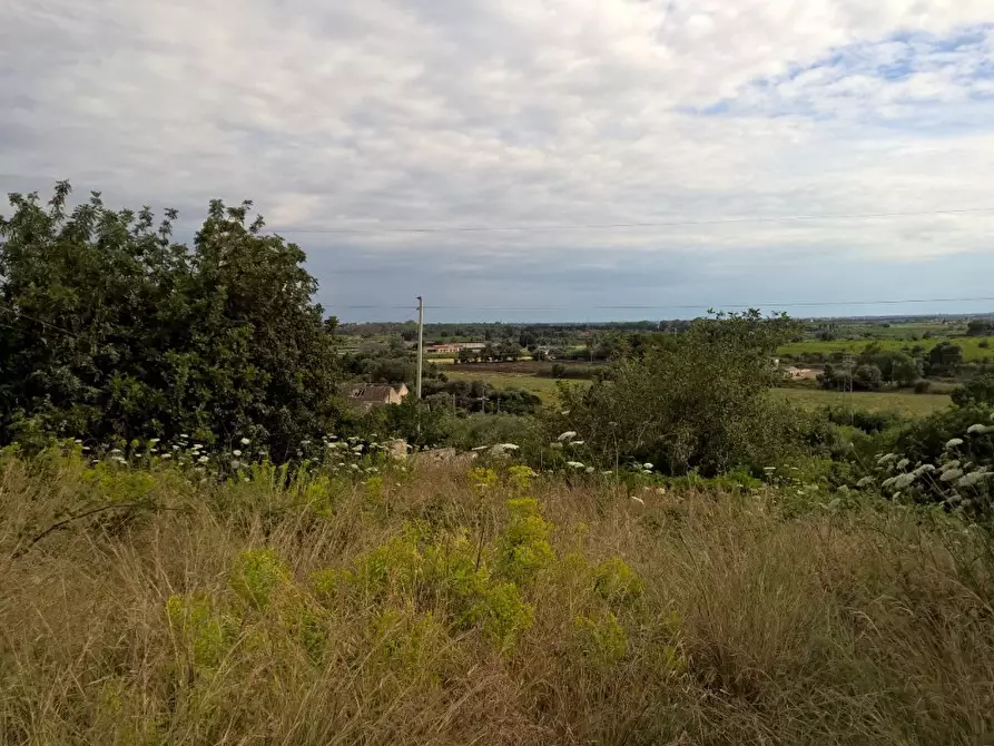 Immagine 2 di Terreno agricolo in vendita  a Siracusa