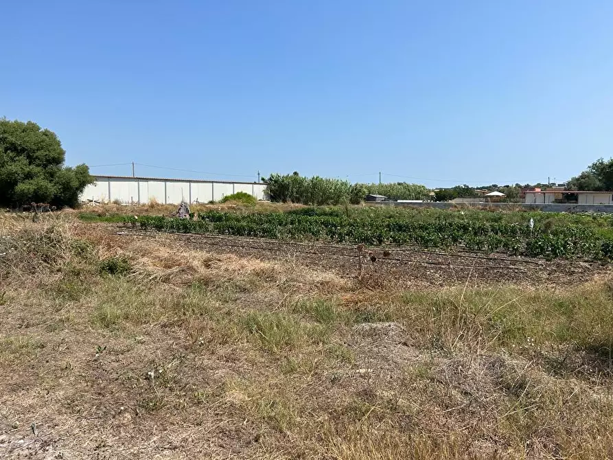 Immagine 1 di Terreno agricolo in vendita  a Siracusa