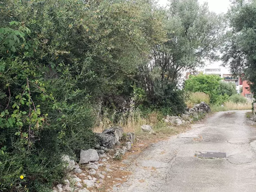 Immagine 5 di Terreno edificabile in vendita  a Siracusa