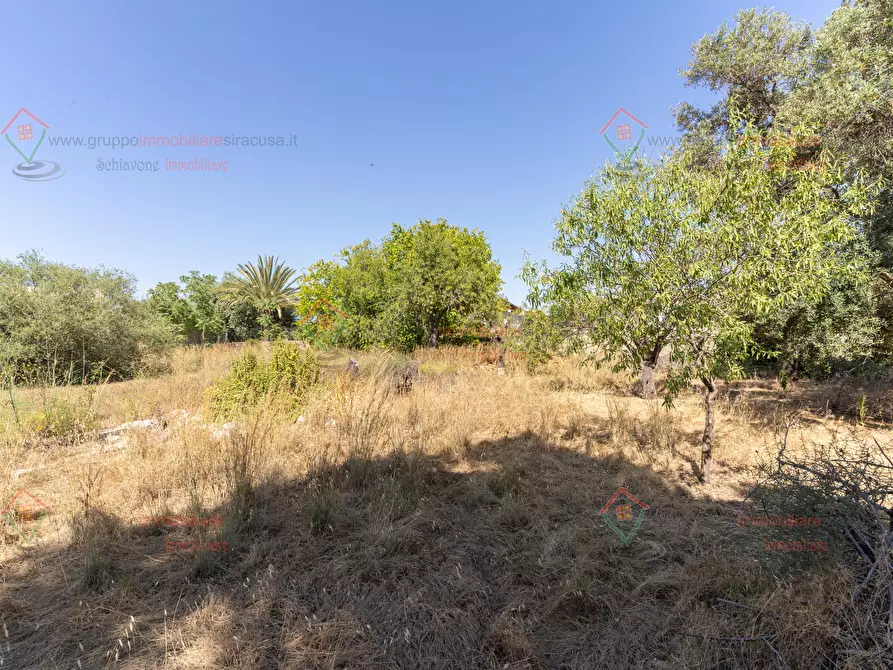 Immagine 4 di Rustico / casale in vendita  a Priolo Gargallo